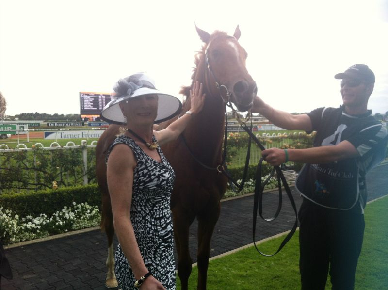 Our winning Horse Our winning Horse